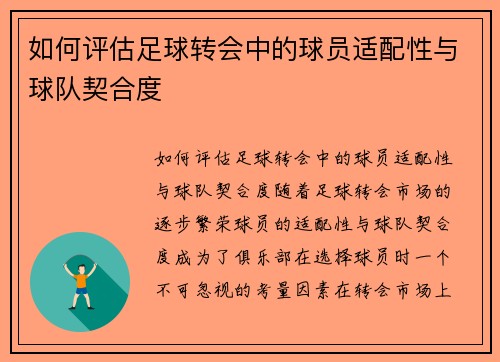 如何评估足球转会中的球员适配性与球队契合度 如何评估足球转会中的球员适配性与球队契合度